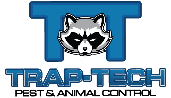 Trap Tech Pest Control and Problem Animal Control